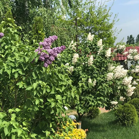 Hotel Sofievsky Posad 3*